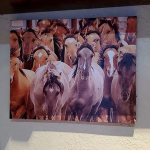 Kiger Mustang photo canvas print